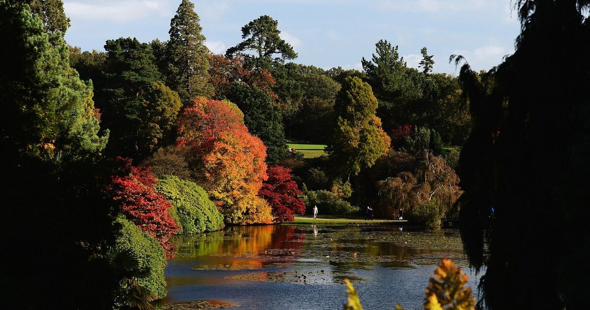 „Wunderschöner“ Garten des National Trust mit hübschen Seen sieht „im Herbst herrlich aus“