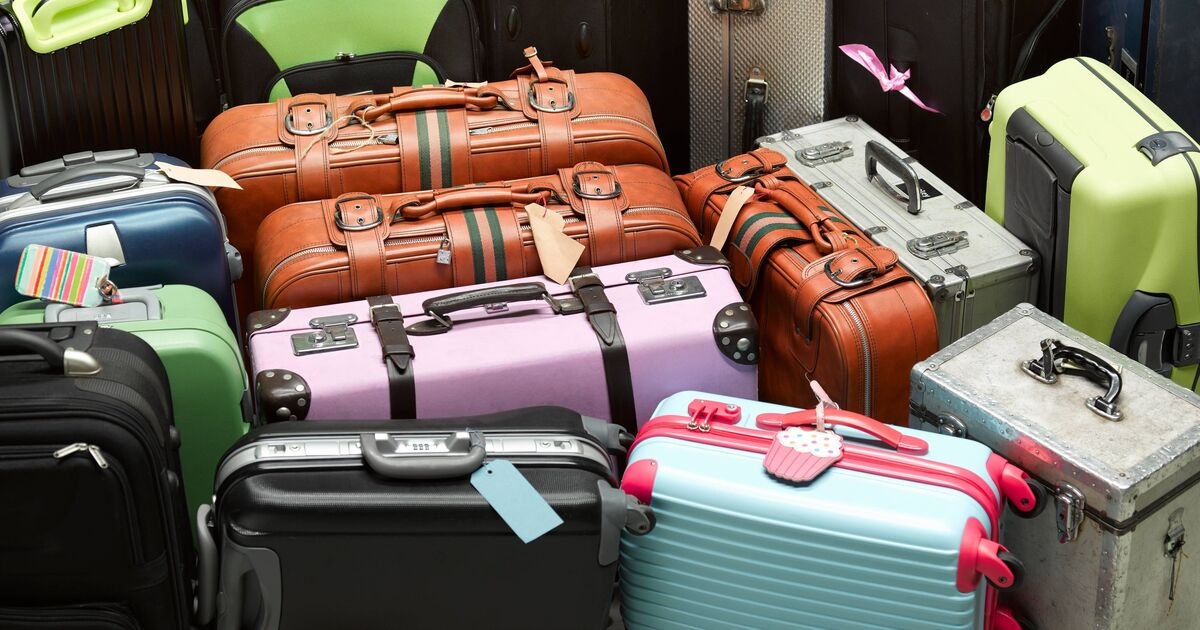 Baggage handler names the type of suitcase least likely to be damaged while travelling