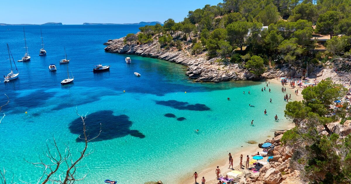 Jet2 patronu, turizm protestolarının daha yüksek vergilerle tehdit etmesi nedeniyle İspanya tatil fiyatı uyarısı yayınladı