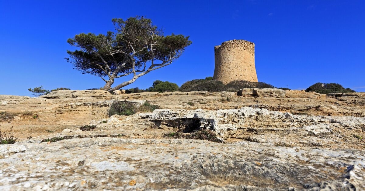 Panic in Majorca as island is in desperate need of rain 'in the next 10 days'