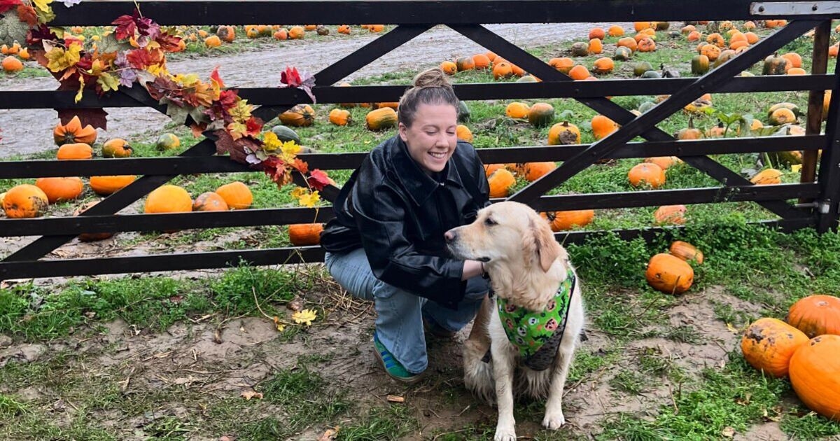 I visited the UK's most famous pumpkin patch — it's perfect for Halloween