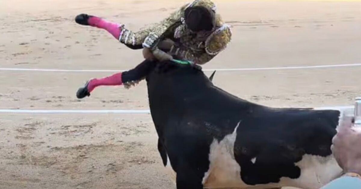 Moment d'horreur : un matador se fait encorner la jambe par un taureau, ce qui lui laisse une blessure profonde de 30 cm.