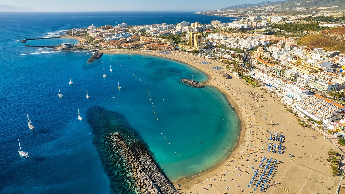Se pide a los británicos que "permanezcan alerta" tras el hallazgo de una de las hormigas más invasoras del mundo en un destino turístico español.