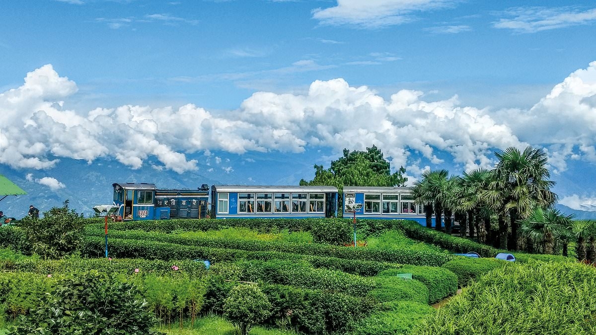 As viagens de trem mais impressionantes do mundo retratadas, incluindo a "maior arquitetura ferroviária do Reino Unido"
