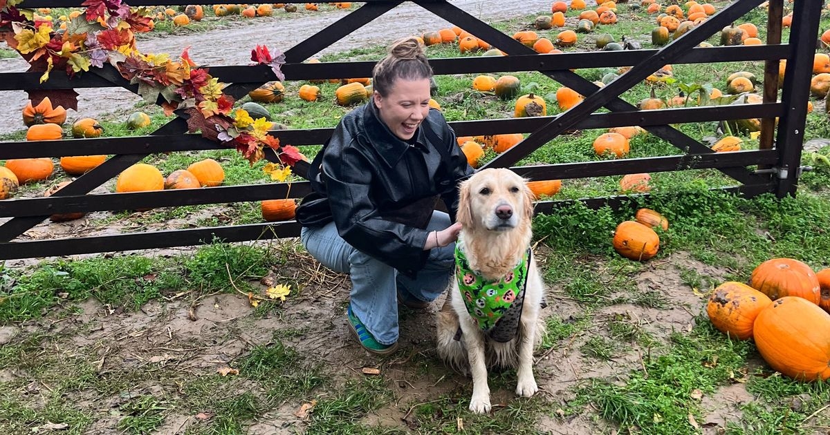 I visited one of the UK's most famous pumpkin patches — it's brilliant for Halloween