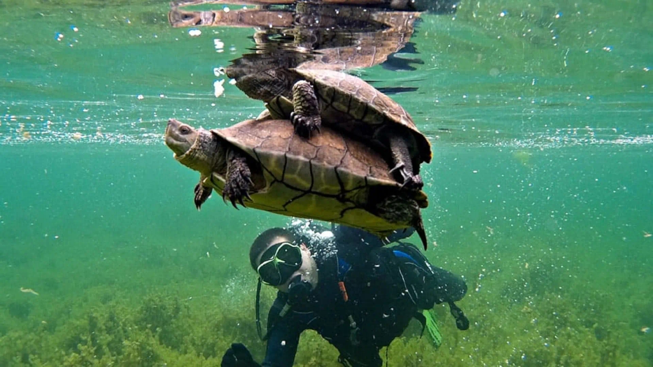 Nem costa nem oceano: aprenda a mergulhar neste parque natural escondido em Castilla-La Mancha