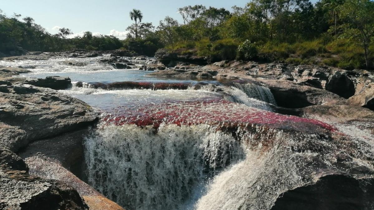 La saison de splendeur 2025 commence à Caño Cristales : quelles attractions naturelles devriez-vous visiter à La Macarena ?