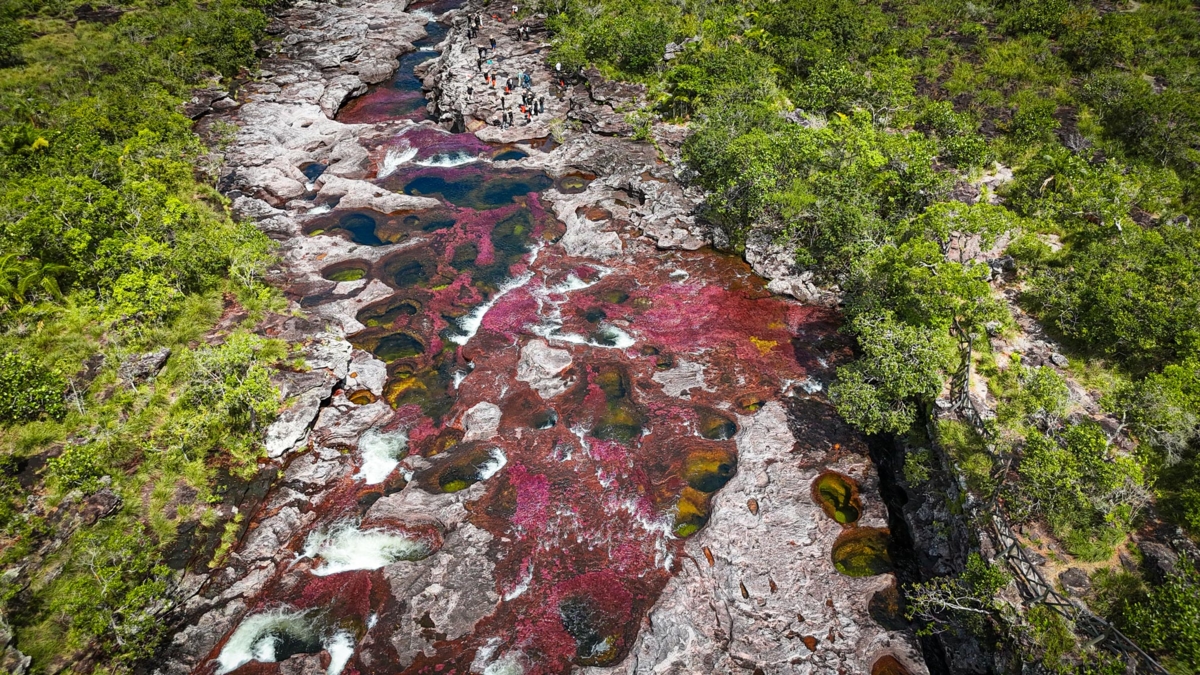 Tutto quello che c'è da sapere per visitare Caño Cristales, il gioiello della Macarena (Meta) nel 2025: questa è la destinazione naturale più amata dagli stranieri.
