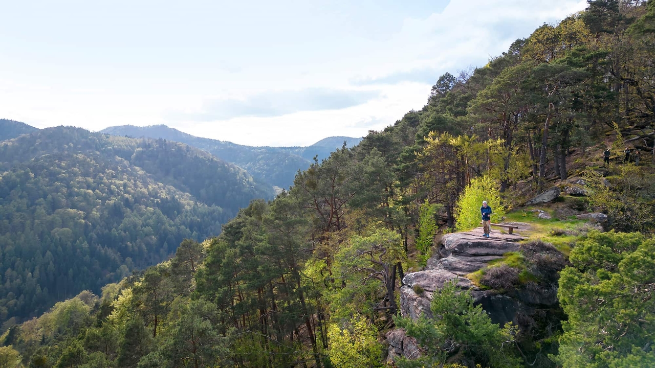 Castillos, vino y vistas panorámicas: estas 10 rutas de senderismo en Renania-Palatinado son imprescindibles