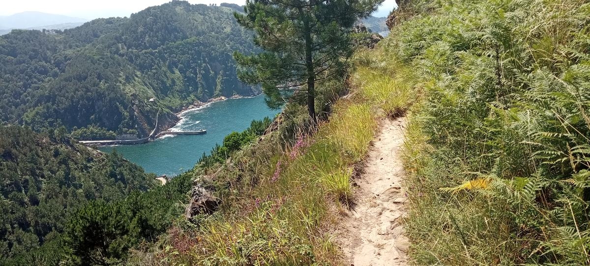 Vacaciones en España: senderismo desde el Cabo Figuier hasta el puerto de Pasaia