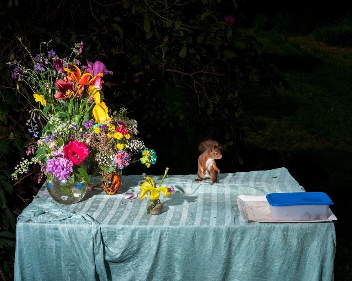 Burdeos: Los animales se sientan a la mesa bajo la mirada de la fotógrafa Lia Darjes