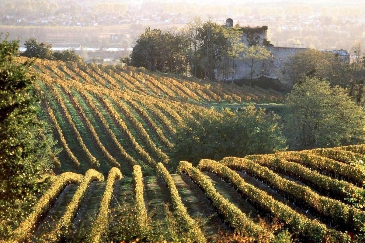 Żyronda: Jaki jest program dnia otwartego Cadillac Côtes de Bordeaux w ten weekend?