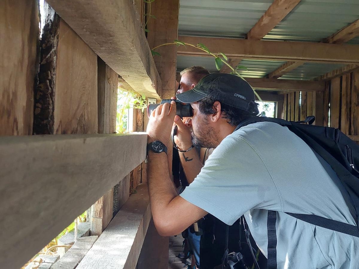 “It’s an open-air laboratory”: in the Gironde estuary, on Nouvelle Island, nature is reclaiming its rights