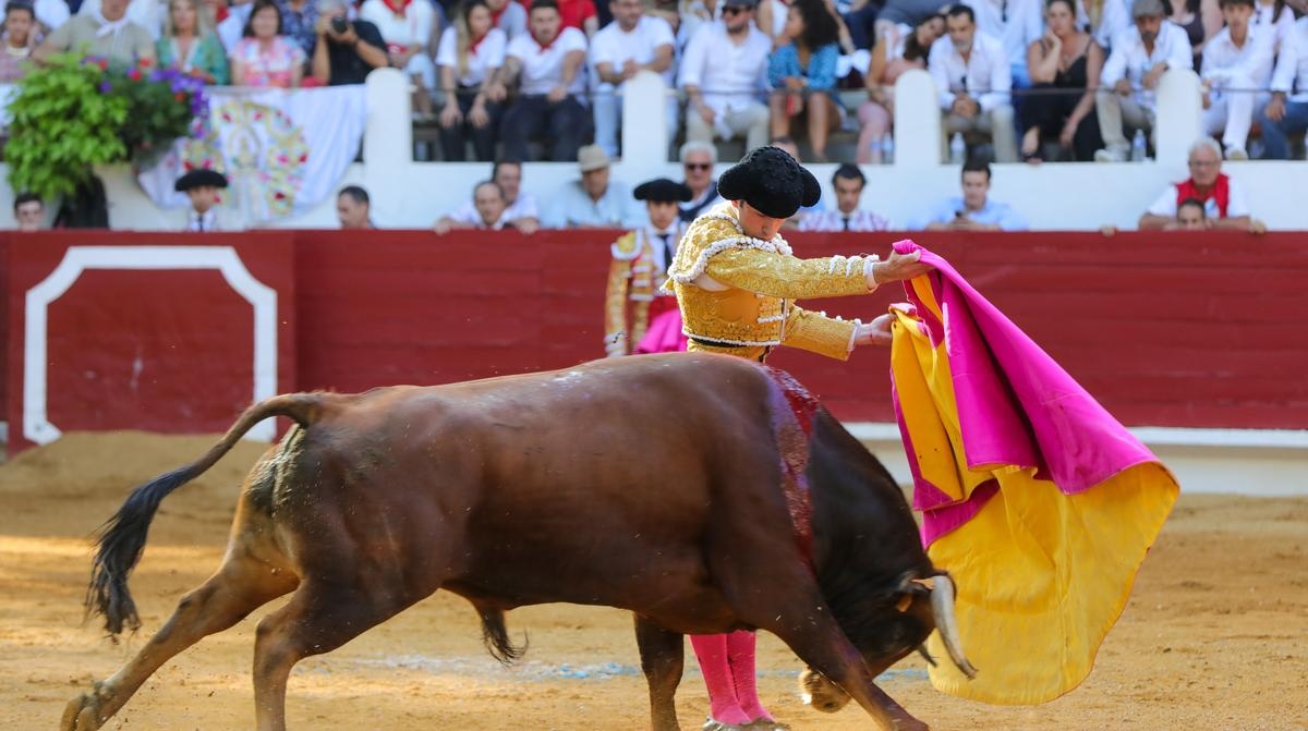 Tyrosse Festival Bullfight: Molina, a bullfighter who deserves to tour