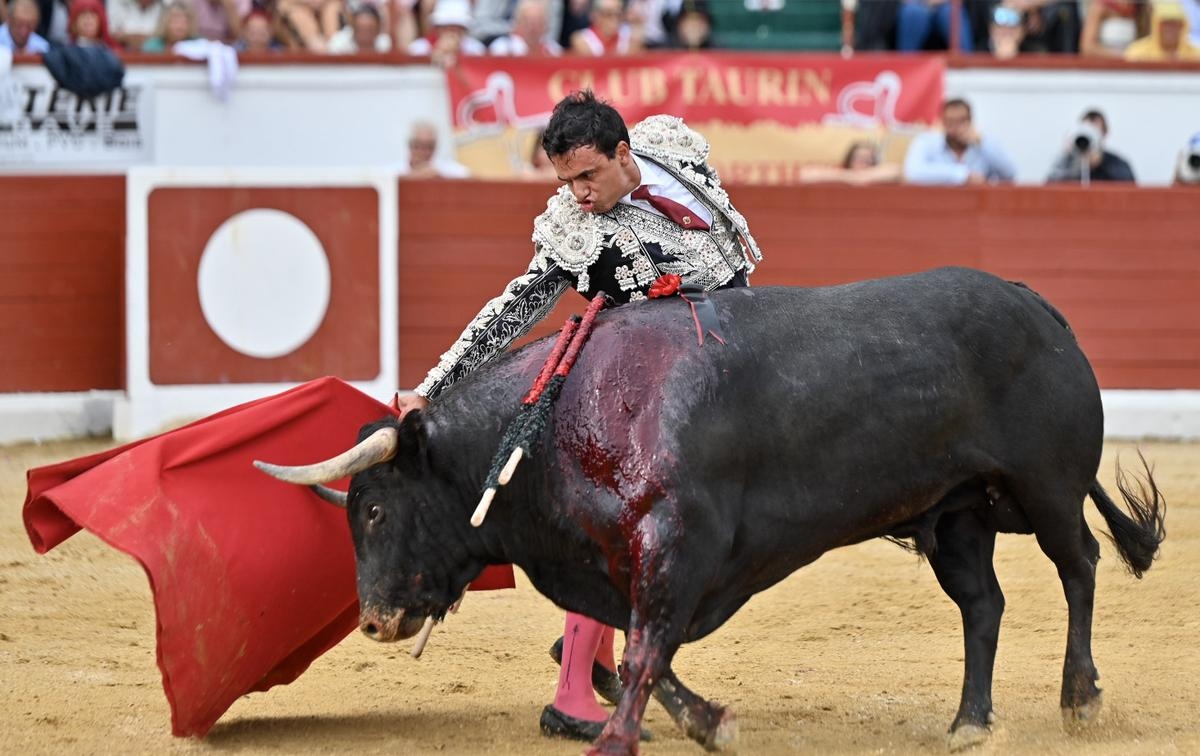 Orthez Festival Bullfight: Juan de Castilla, a constant desire