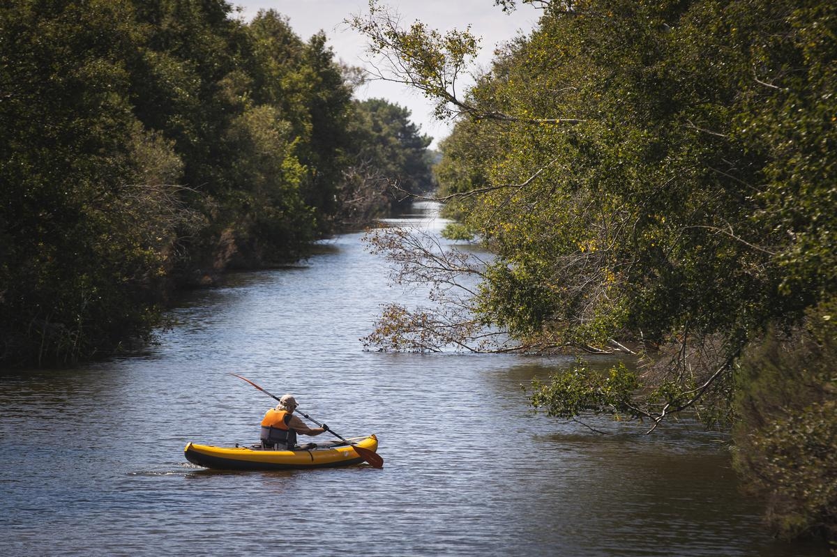 On the road of the Canal des Étangs in Gironde (2/6): between two lakes, a stroll away from civilization