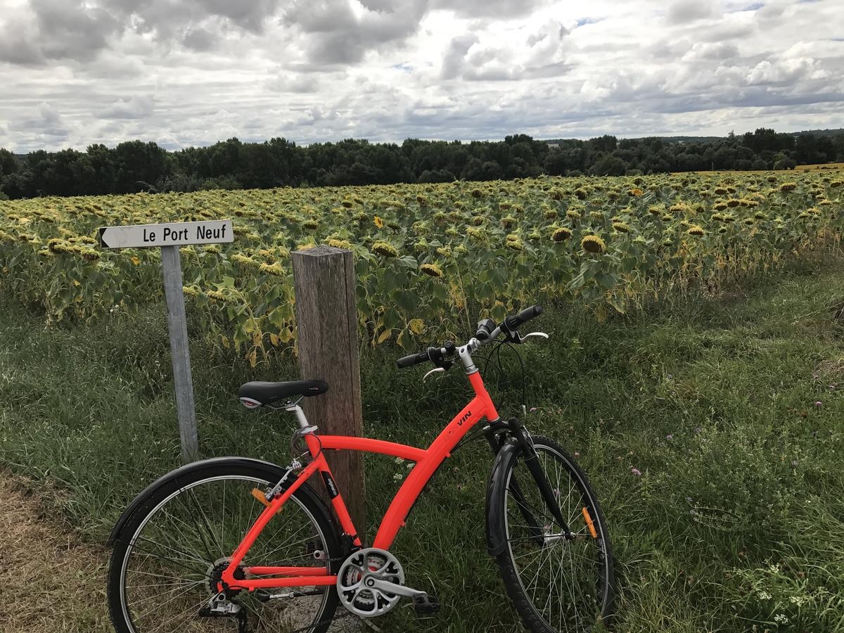 Charente-Maritime mit dem Fahrrad: 5 wichtige Routen zwischen Meer, Sümpfen und Kulturerbe