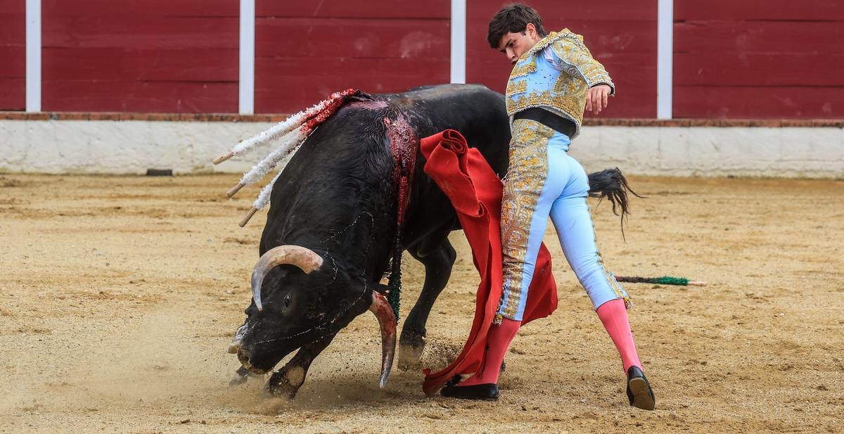 Feria de Dax 2025: Aaron Palacio, like a fighting cock