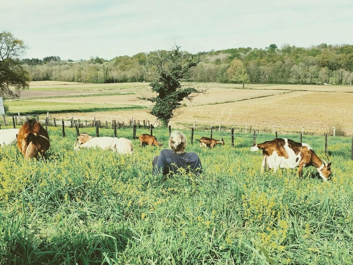 “A rewarding and very enriching human experience”: wwoofing, another way to discover the Landes and its farmers
