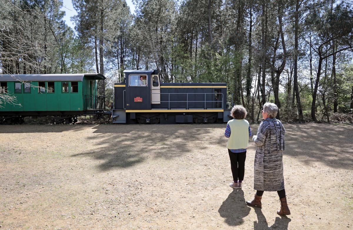 Landes : Marquèze, Musée de la Chalosse, Brassempouy… la canicule a contrarié la saison des sites touristiques