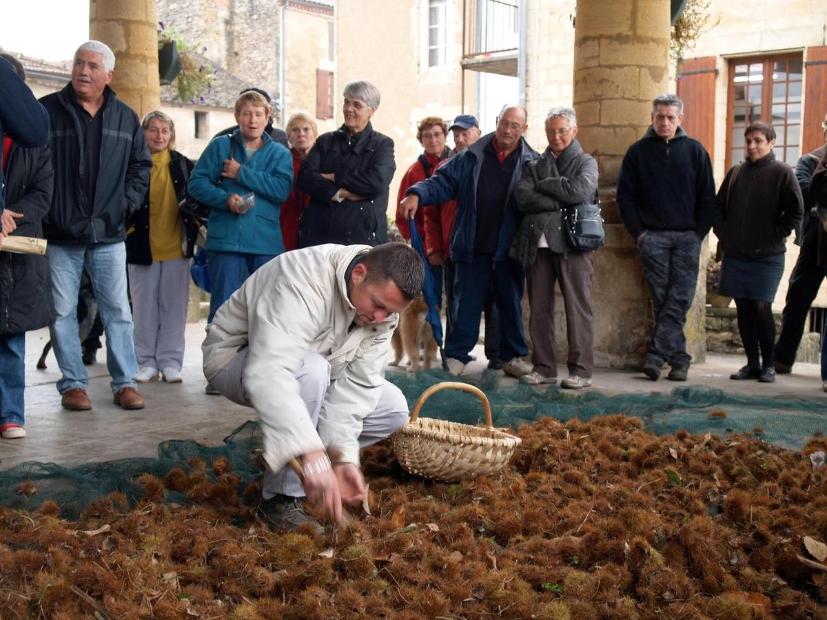 Kestane tükürüğü, tadımlar, sergiler: Dordogne'da kutlanan bu sonbahar meyvesi