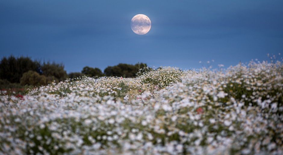 La luna piena di agosto sta arrivando. Porterà una battaglia tra due segni zodiacali.