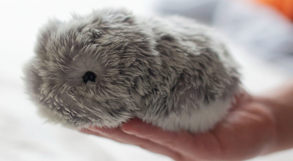 Labubu heeft serieuze concurrentie: dit is de nieuwe pluchen obsessie van Generatie Z.