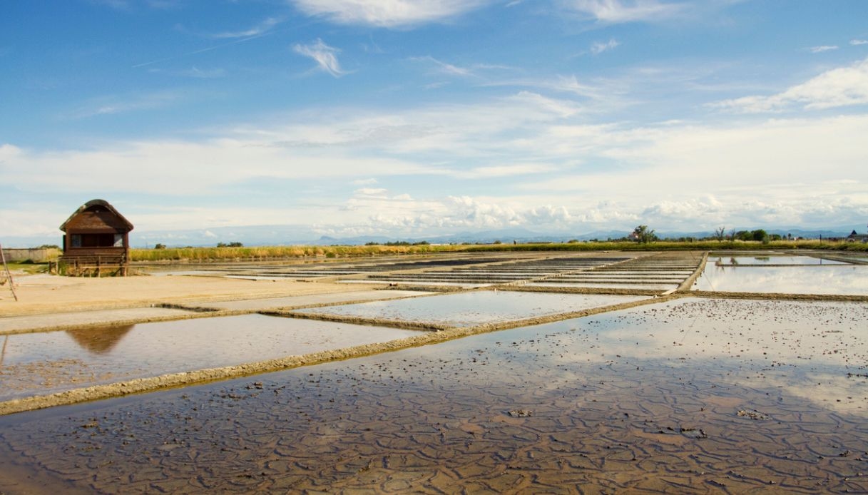 Salina di Cervia: onde o ouro branco encontra a natureza e a memória