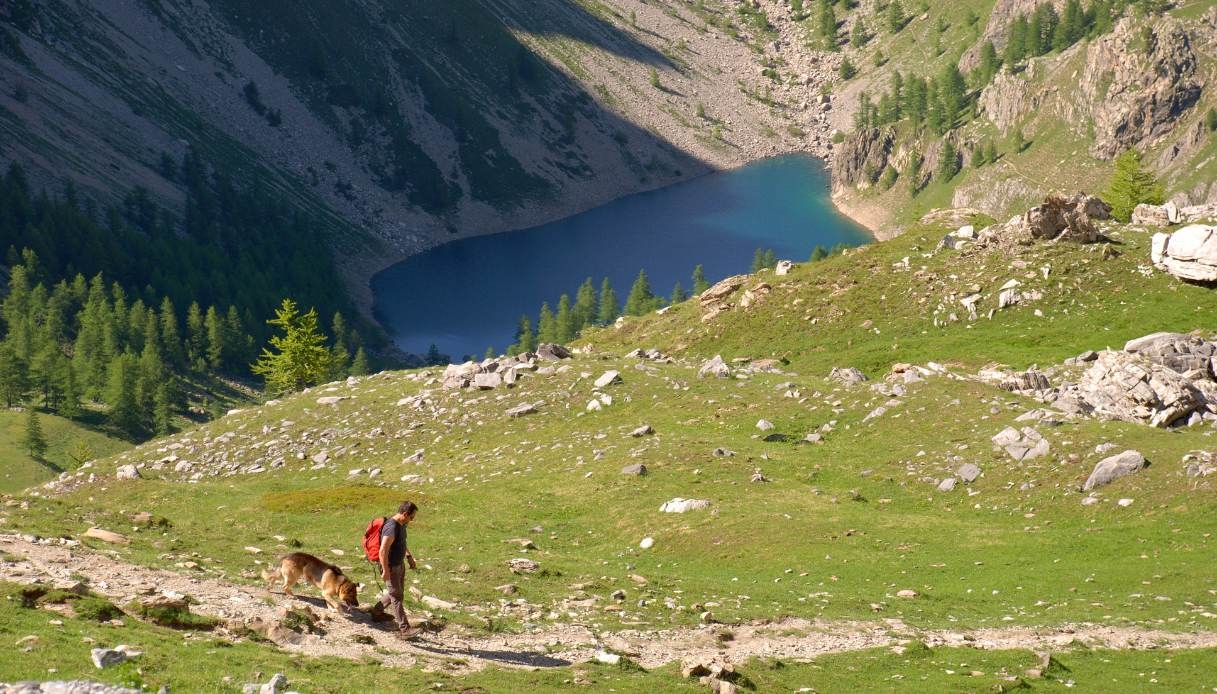 Wandel naar het Visaisameer in de Maira-vallei, een bergmeer omgeven door weilanden en bergtoppen.
