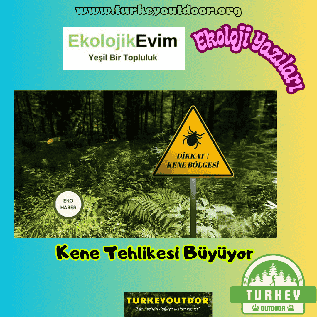 Tick ​​Danger Grows