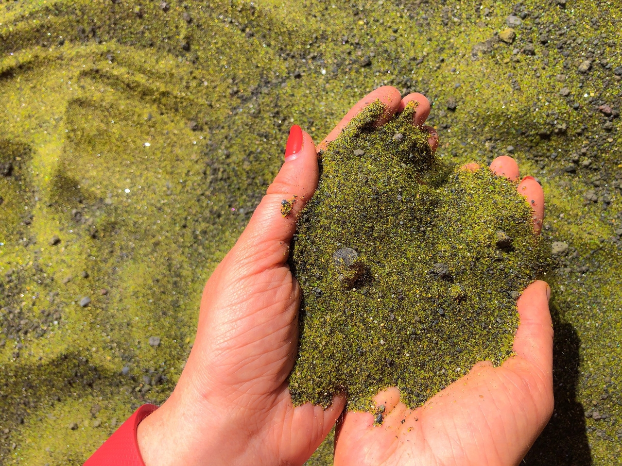 Zielony piasek na Hawajach, najsłynniejsza i najniebezpieczniejsza czarna plaża i czerwona na Galapagos: podróż na zaskakująco kolorowe plaże