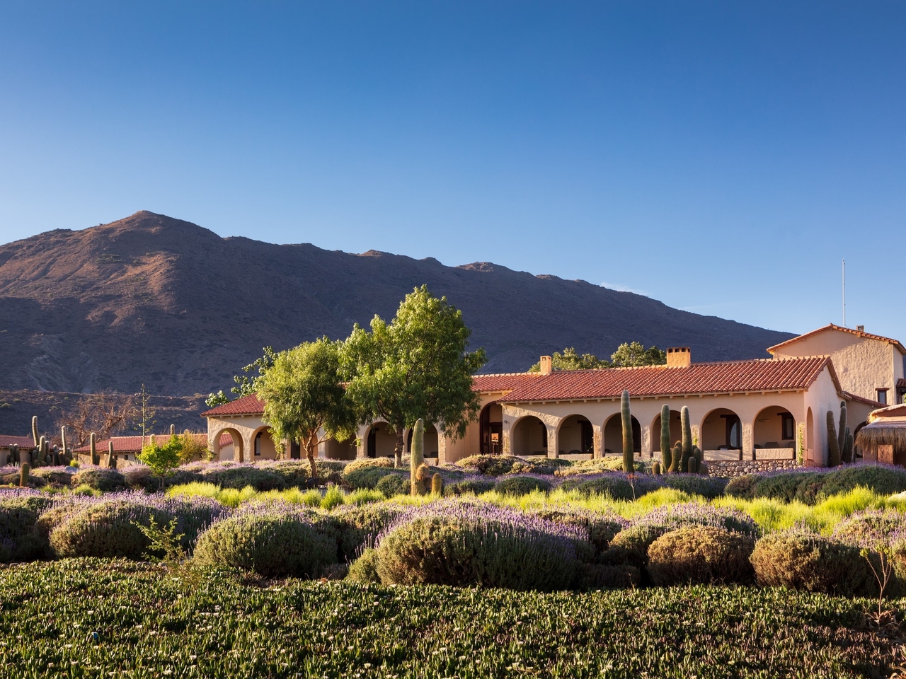 He searched for water with a pendulum in desert lands, fell in love with high-altitude wines, and opened a stunning museum: a trip to the vineyards of "Mad Hess."