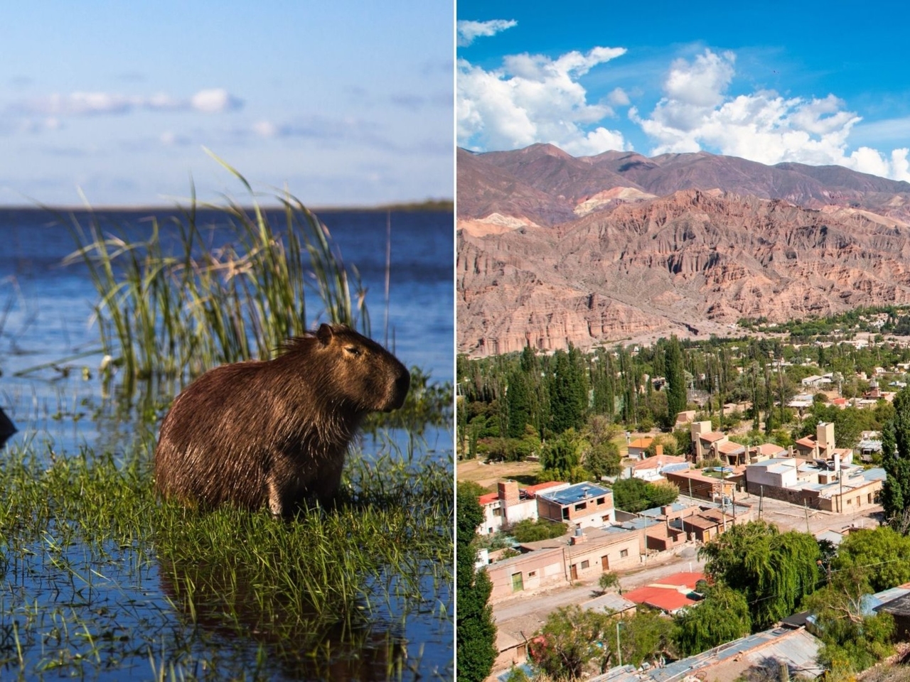 Two corners of Argentina were among the best tourist towns in the world in 2025: where they are and why they were chosen.
