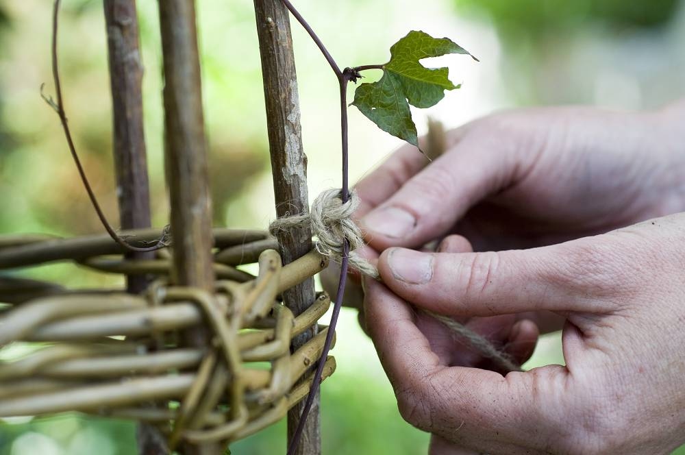 6 Tipps, um Ihr Beet auf den Sommer vorzubereiten