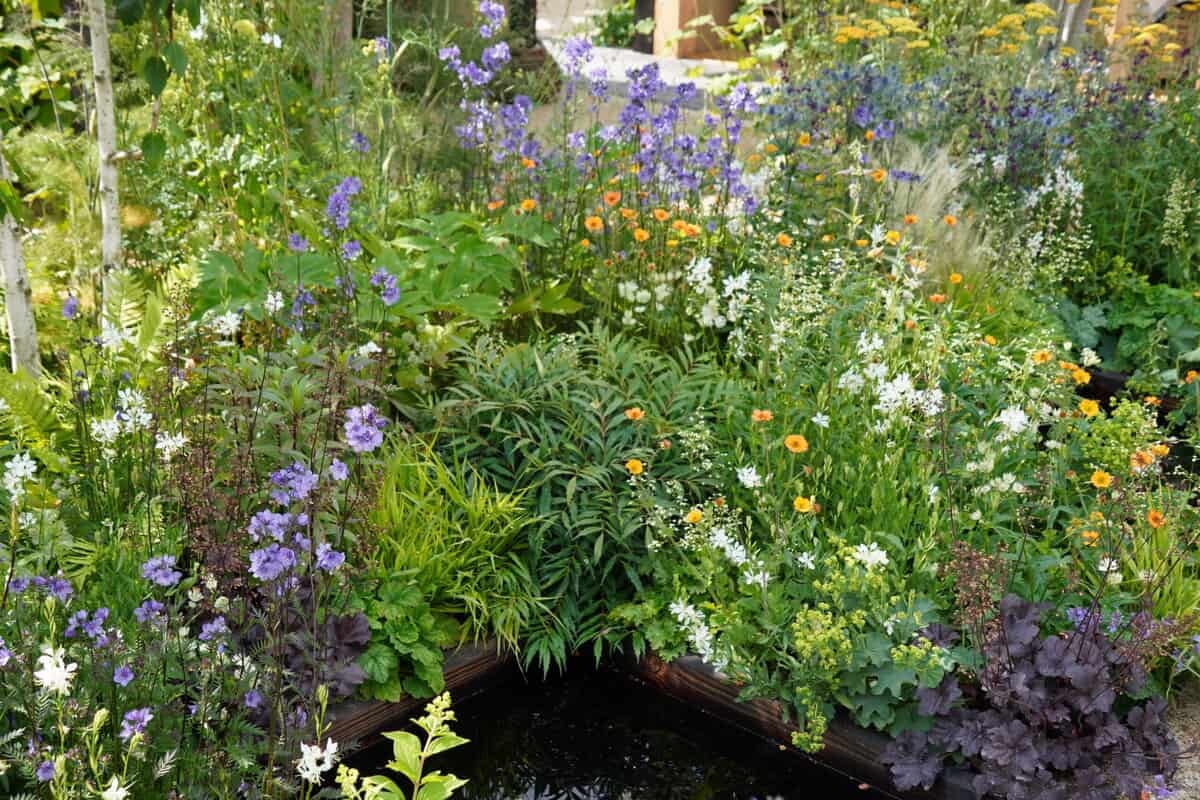Diese 5 Gartentrends von Gardeners‘ World Live 2025 möchten Sie am liebsten gleich im eigenen Garten umsetzen