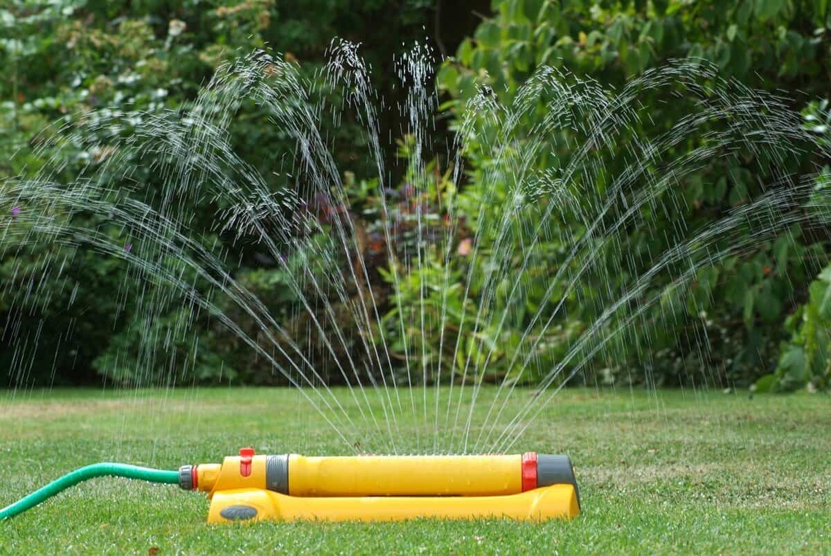 Rasen wässern: So oft und wie lange sollten Sie es wirklich tun