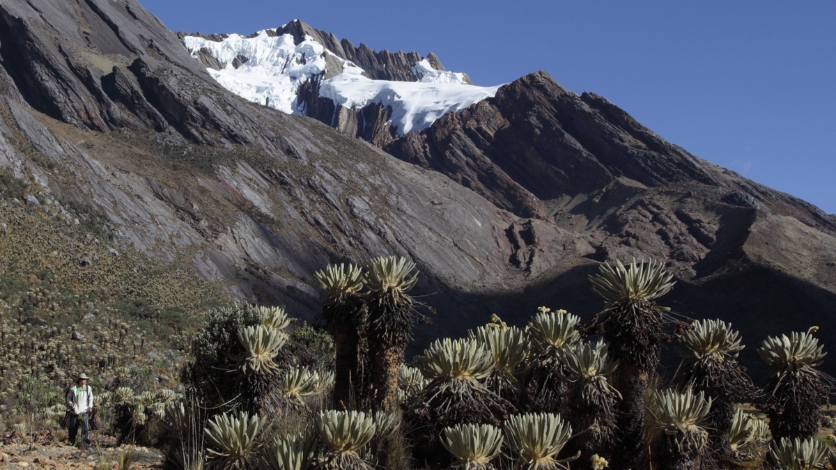 El tesoro colonial de Boyacá con varios microclimas y calles empedradas con balcones verdes