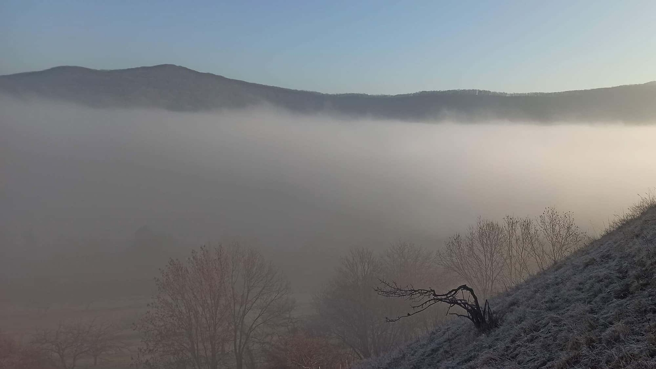 Fenómenos meteorológicos explicados brevemente: ¿Cómo se forma realmente la niebla?