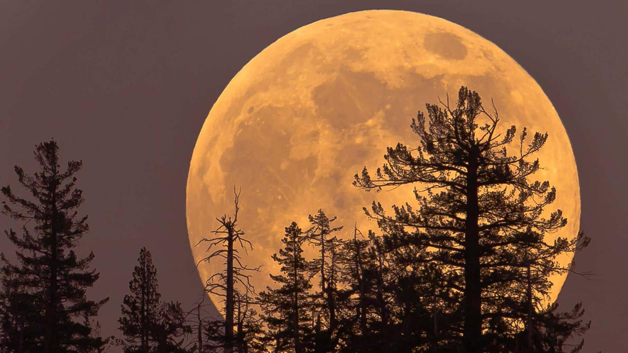 Superluna del 5 novembre: la luna piena più grande del 2025