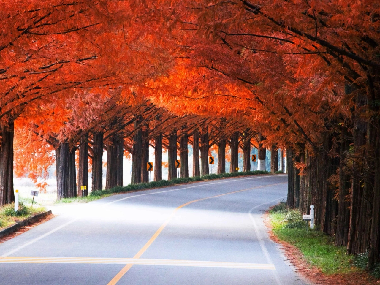 De herfst is op zijn mooist in dit land. "Het is de moeite waard om het minstens één keer in je leven mee te maken."