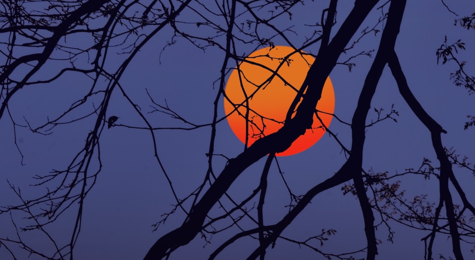 NASA potwierdza: aktualnie Ziemia ma dwa Księżyce