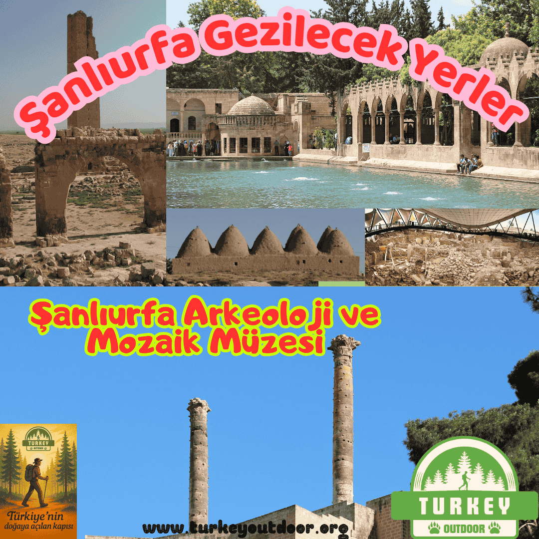 Şanlıurfa Archaeology and Mosaic Museum