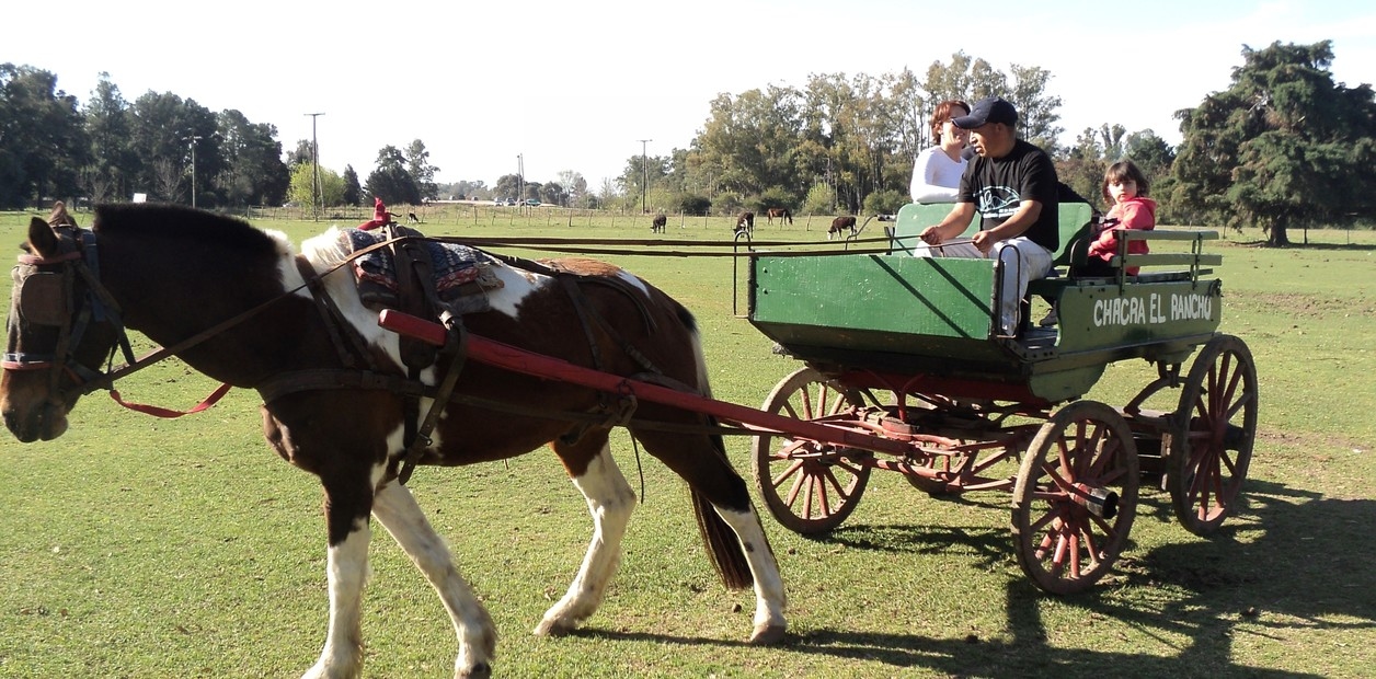 Dez restaurantes rurais com atividades para adultos e crianças.