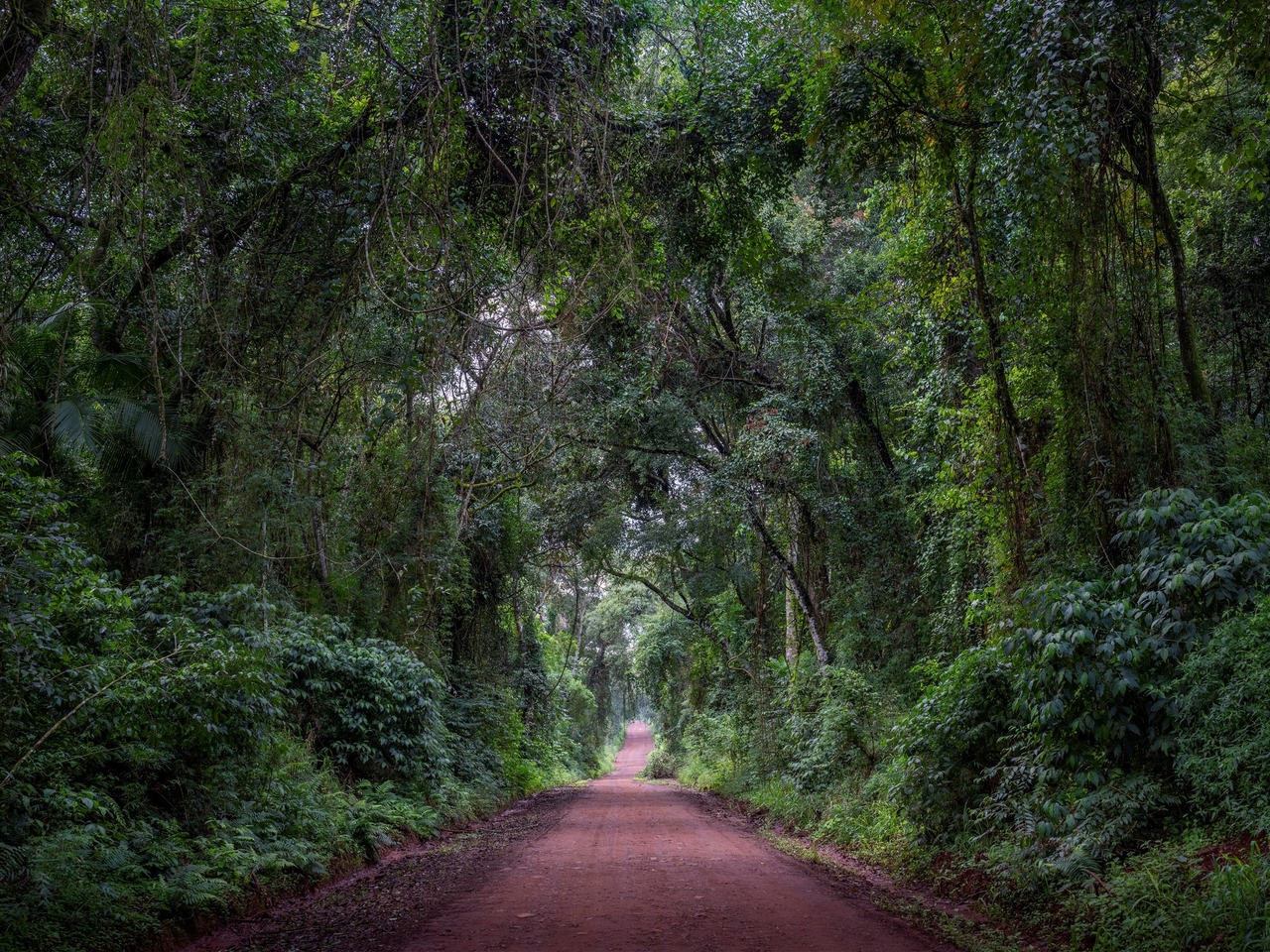 Die ultimative Luxusoase im Regenwald von Misiones: die spektakuläre Lodge, in der jede Villa über einen privaten Pool verfügt und Ausflüge individuell gestaltet werden.