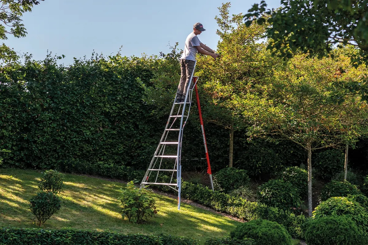 ¿Necesitas una escalera? ¡Consigue un Henchman! Las mejores escaleras son aún mejores.