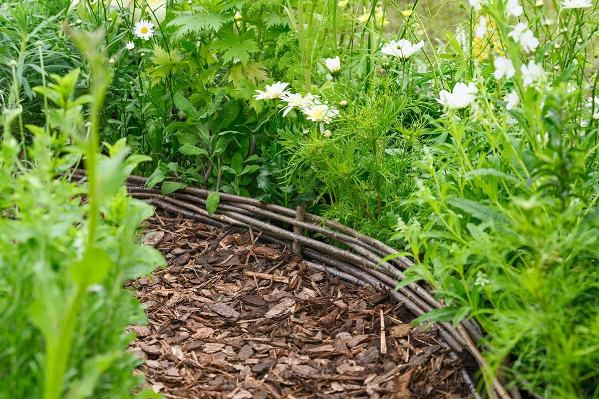 Aqui estão 11 ideias inteligentes para reaproveitar os restos da poda.